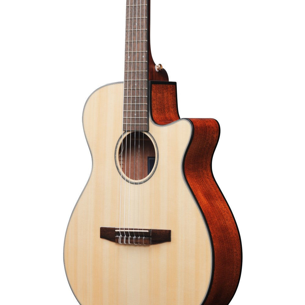 Ibanez AEG50N Acoustic Guitar - Natural High Gloss (AEG50N-NT)