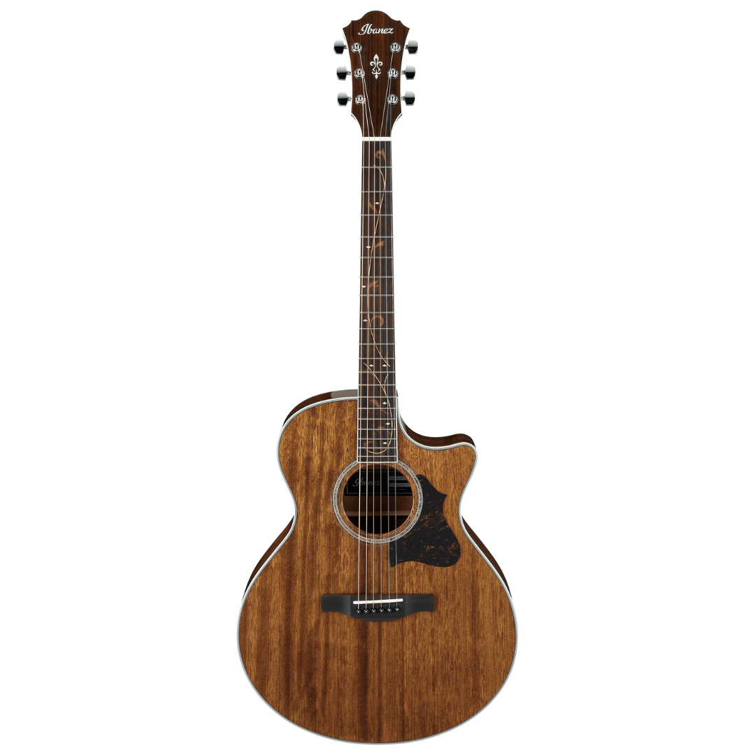 Ibanez AE245 AE Body Solid Top - Natural High Gloss, IBANEZ, ACOUSTIC GUITAR, ibanez-acoustic-guitar-ae245-nt, ZOSO MUSIC SDN BHD