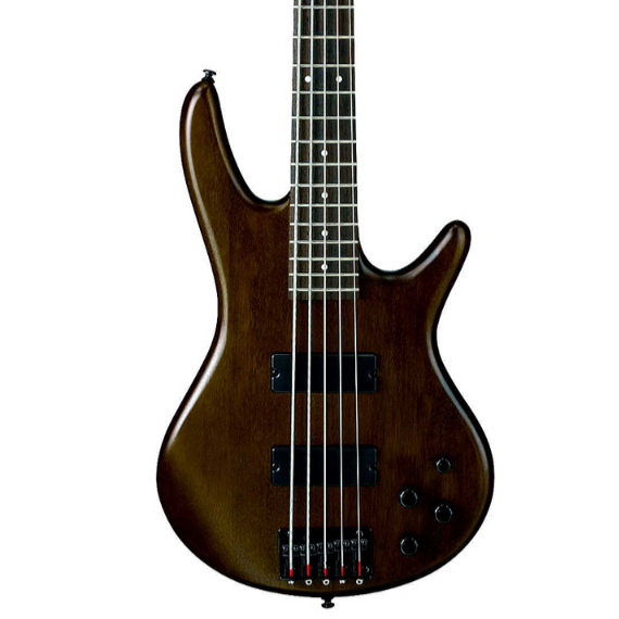 Ibanez Gio GSR255B - Walnut Flat, IBANEZ, BASS GUITAR, ibanez-bass-guitar-gsr255b, ZOSO MUSIC SDN BHD