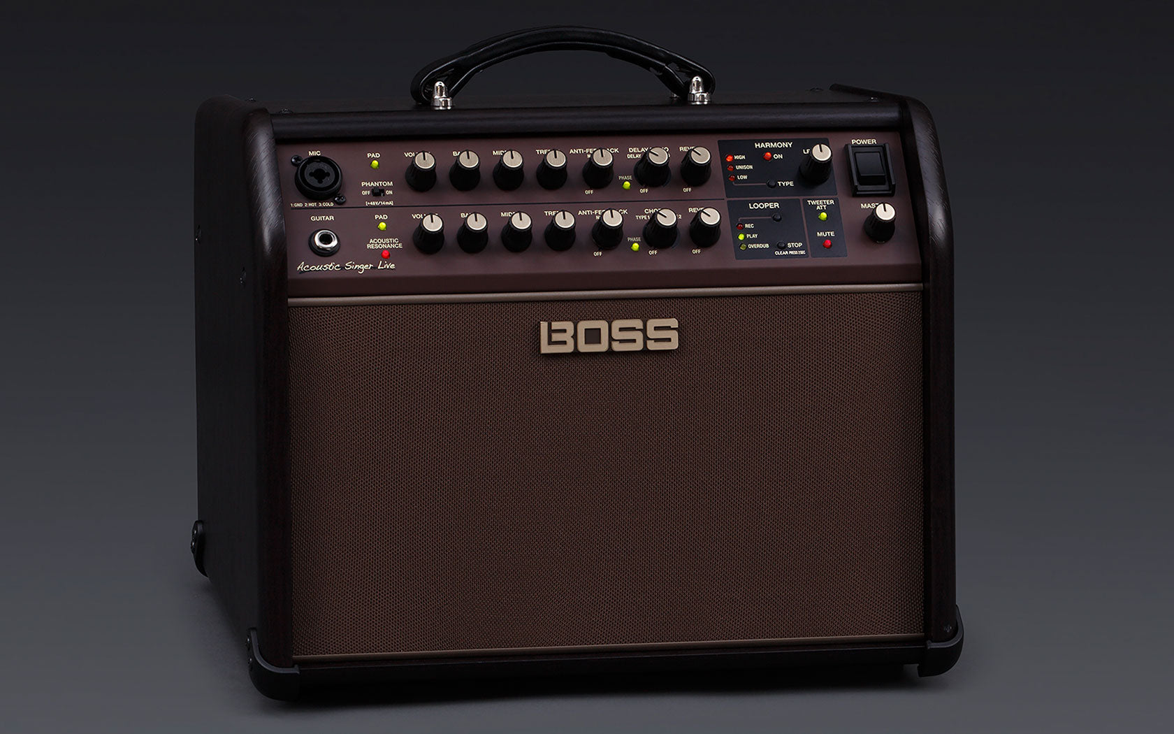 Boss Acoustic Singer Live LT 60-watt Bi-amp Acoustic Combo | BOSS , Zoso Music